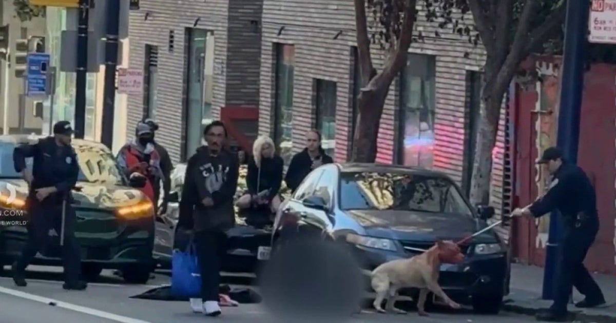 Assault News Image