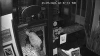 Burglars sought in spree of downtown Danville break-ins