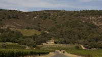 Sonoma's Gundlach Bundschu Winery, one of California’s oldest, files for Chapter 11 bankruptcy