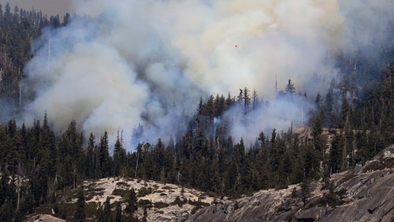 2 pilots killed in crash while battling wildfire in Yosemite National Park