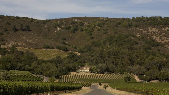 Sonoma's Gundlach Bundschu Winery, one of California’s oldest, files for Chapter 11 bankruptcy