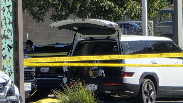 Man found shot to death in Dublin park, suspects arrested