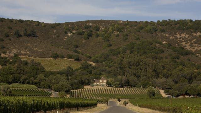 Sonoma's Gundlach Bundschu Winery, one of California’s oldest, files for Chapter 11 bankruptcy