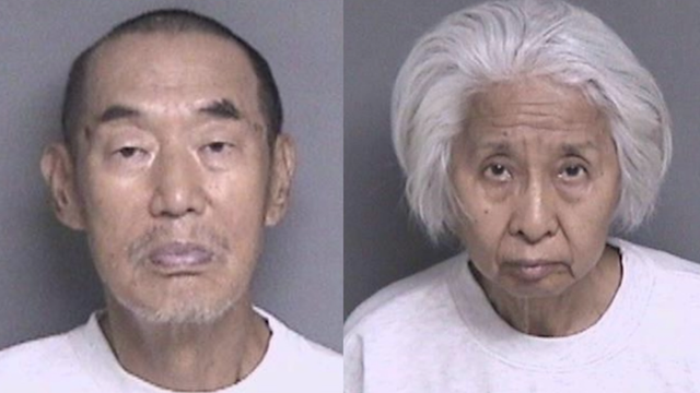 Elderly couple lay in wait to kill son-in-law at Dublin park: DA