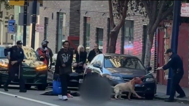 Woman critically injured in San Francisco dog attack