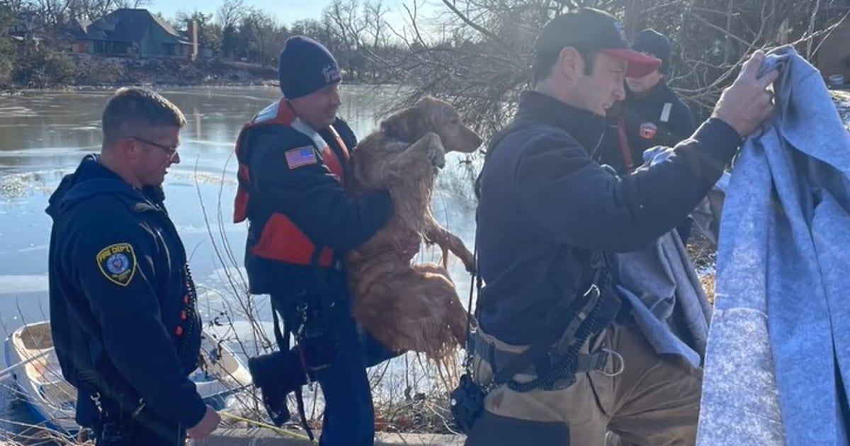 Watch: Oklahoma firefighters rescue dog stuck in frozen lake | LiveNOW ...