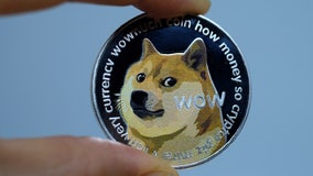 Shiba inu who inspired Doge meme, cryptocurrency is gravely ill