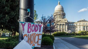 Idaho court tosses lawsuits aiming to block abortion bans