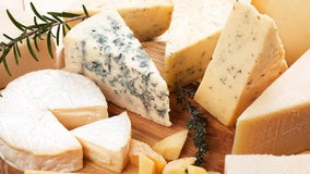Get paid $1,000 to eat cheese before bed – in the name of science