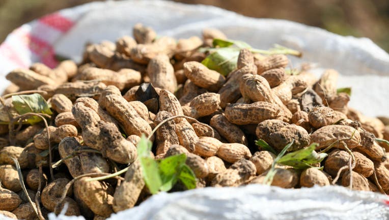 A Cure For Peanut Allergies Study Shows Promising Results LiveNOW   GettyImages 1244478860 