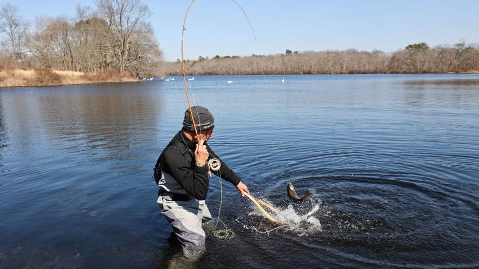 FILE - A fisherman catches a brook trout in a file image dated March 16, 2022, near Oakdale, New York. (Photo by Steve Pfost/Newsday RM via Getty Images)