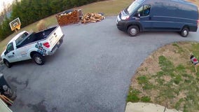 Video shows Amazon delivery driver hitting, killing dog at Maryland home
