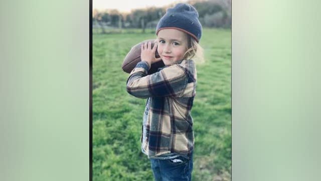 California mountain lion cub picked the wrong 5-year-old 'to mess with,' aunt says