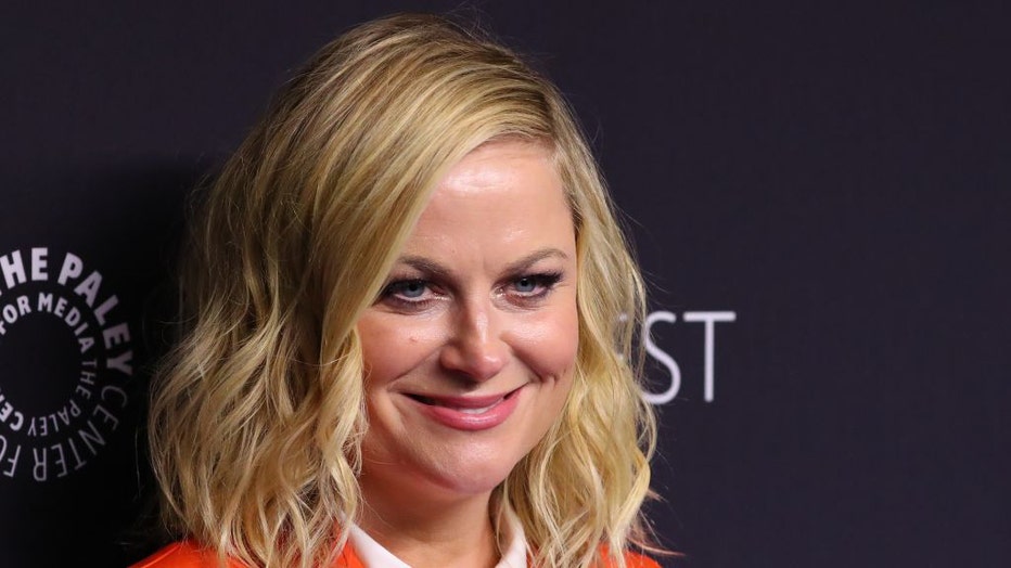 Amy Poehler attends the Paley Center For Media's 2019 PaleyFest LA "Parks And Recreation" 10th Anniversary Reunion held at the Dolby Theater on March 21, 2019, in Los Angeles, California. (Photo by JB Lacroix/Getty Images)