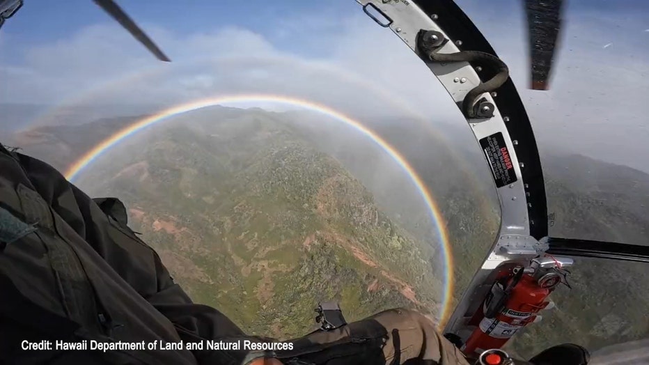 A screengrab from a video shared by the Hawaii Department of Land and Natural Resources shows a full-circle rainbow that formed over Waimea Canyon in Kaua'i in February 2023.