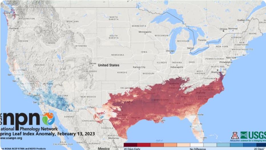 The red shows plants blooming early in the eastern half of the nation but late in the western half. (USA National Phenology Network / FOX Weather)