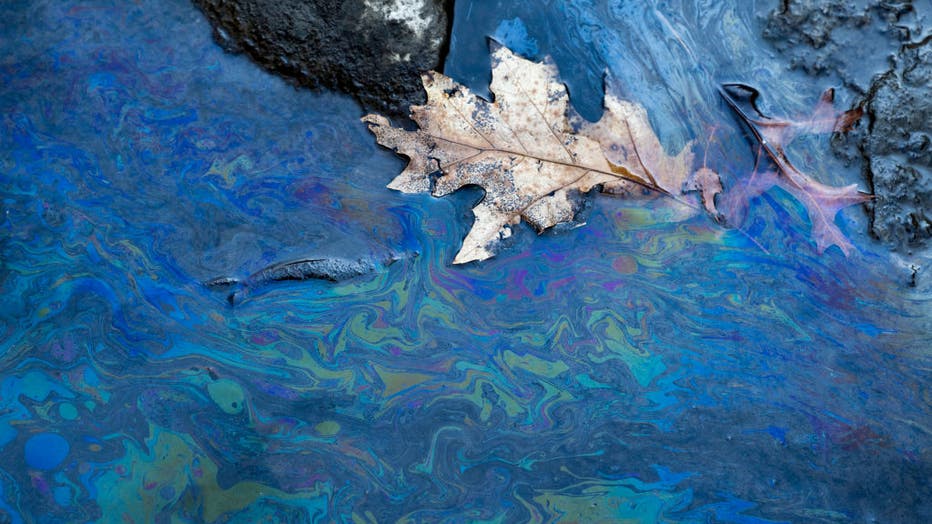 Toxic chemicals float on the surface of Leslie Run creek on February 25, 2023 in East Palestine, Ohio. (Photo by Michael Swensen/Getty Images)