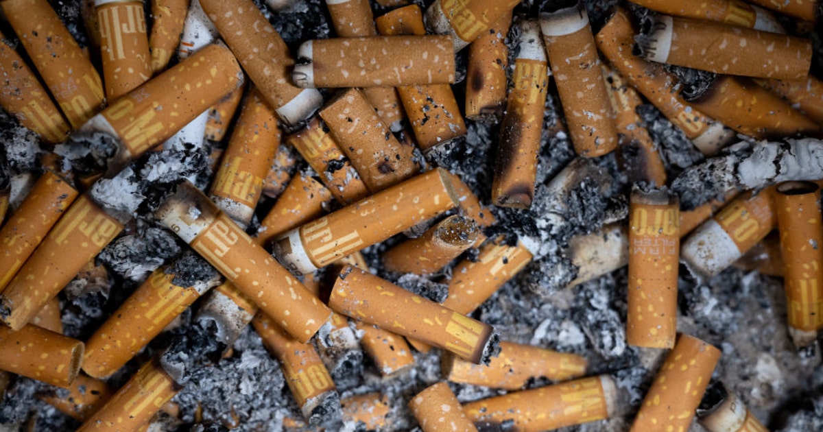 can you compost cigarette ends What Happens to Cigarettes Buried in Soil for a Year? 🚬🌱, Cigarettes decompose in soil—but some parts never disappear. This one-year experiment reveals a surprising truth., cigarette decomposition, can you compost cigarette ends What Happens to Cigarettes Buried in Soil for a Year? 🚬🌱, Cigarettes decompose in soil—but some parts never disappear. This one-year experiment reveals a surprising truth., cigarette decomposition,