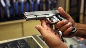 Fox News Poll: Voters favor gun limits over arming citizens to reduce gun violence