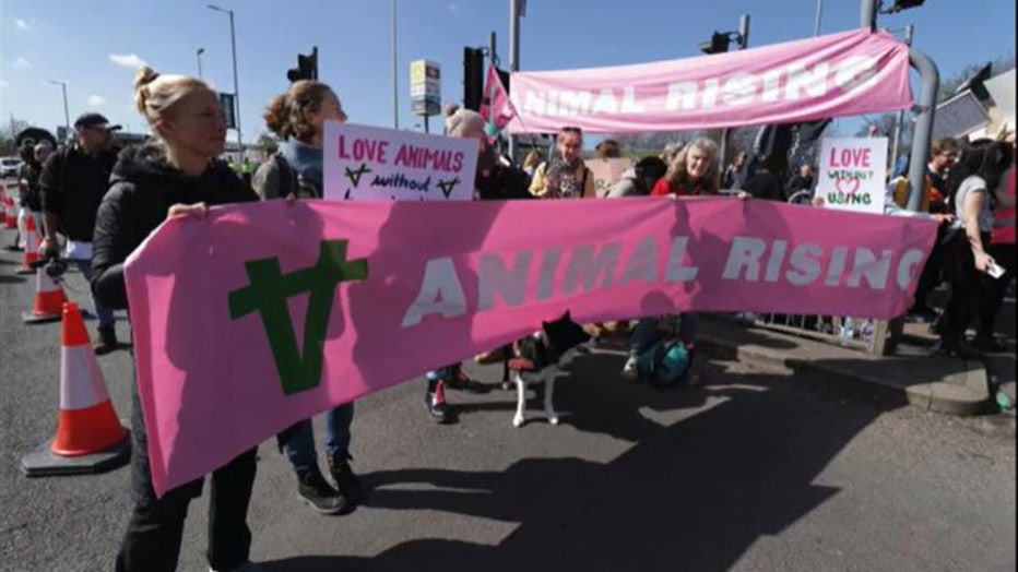 More Than 100 Arrested As Animal Activists Protest Grand National Horse ...