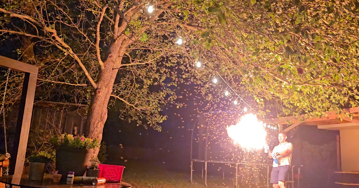 Watch: Man torches termite swarms with DIY flamethrower | LiveNOW from FOX
