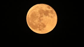 Strawberry moon, meteor shower and other celestial events in June 2023