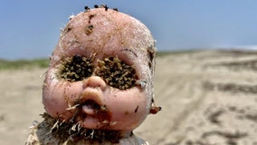 Unusual Texas beach discoveries, including creepy dolls, set for auction
