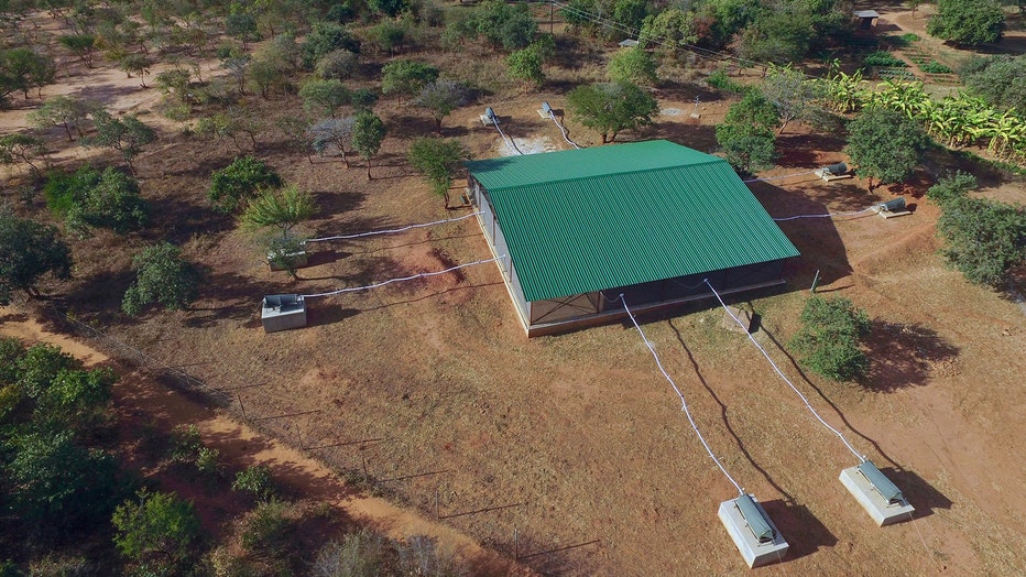 The semi-field flight cage, or a screened structure with a volume of around 1,000 cubic meters, is pictured. Photo credit: Provided / Johns Hopkins Malaria Research Institute / Macha Research Trust 