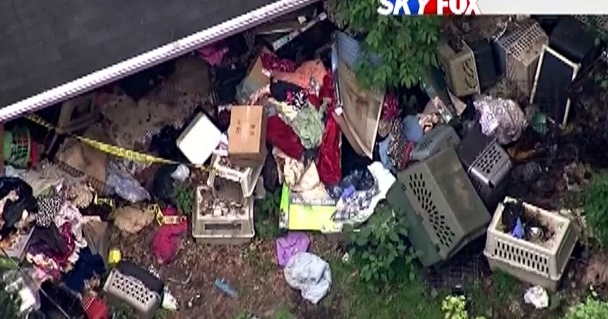 Nearly 150 dogs found dead in animal rescue founder's backyard ...