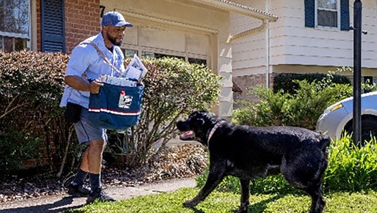 FILE - Gaithersburg, MD, letter carrier Hugues Pointe Jour takes a protective stance against an approaching dog. (Credit: Provided/USPS)