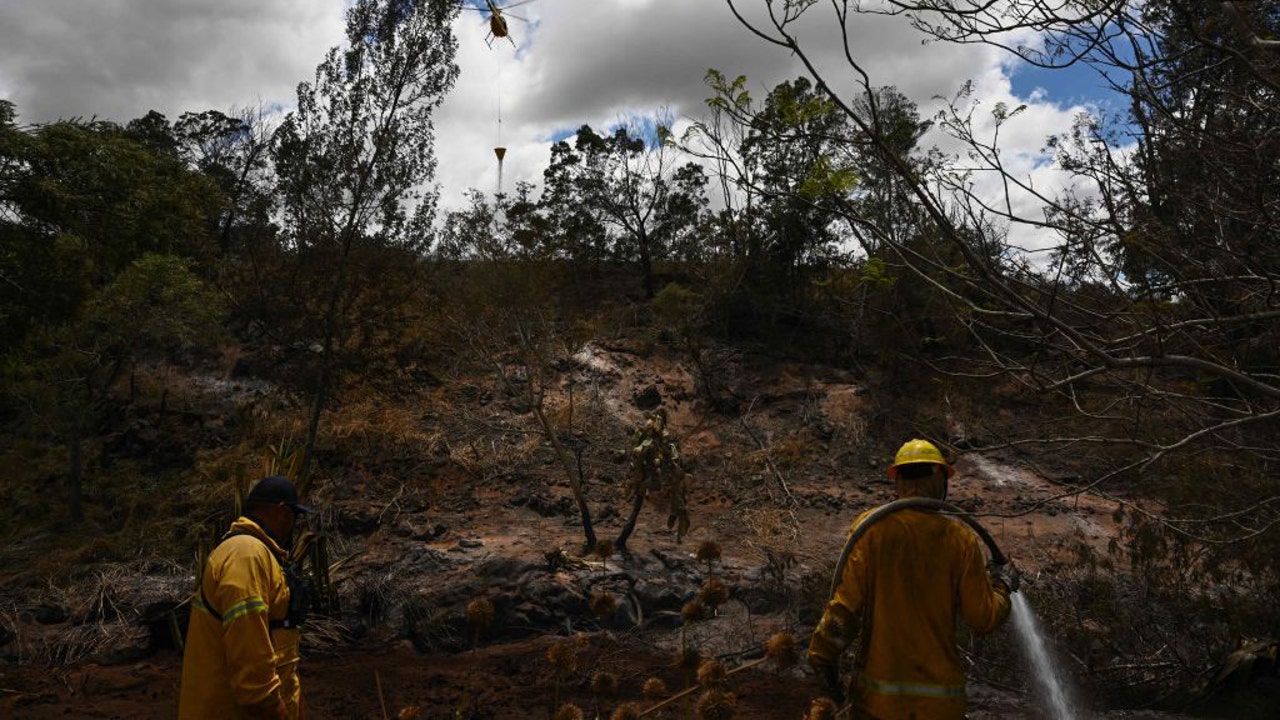 Death toll climbs to 96 in Maui wildfires as Hawaii's governor warns more  people could be found dead