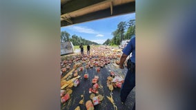 Arkansas highway left a mess after truck spills nacho cheese