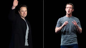 Elon Musk says he might need surgery before proposed 'cage fight' with Mark Zuckerberg