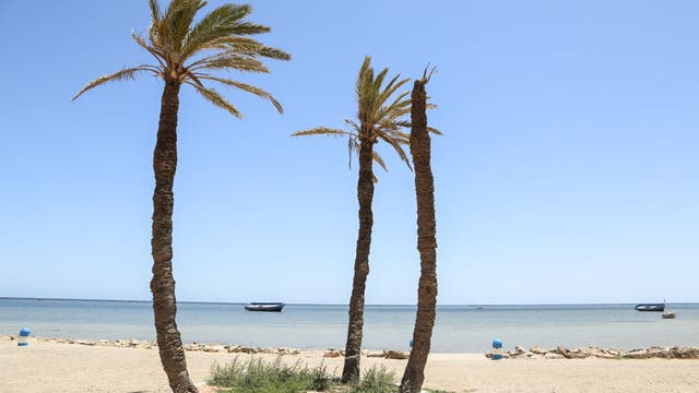 41 dead in migrant shipwreck, confirmed by 4 survivors who set off from Tunisia