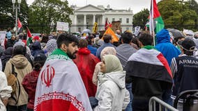 Dozens arrested outside White House during protest over Israel-Hamas war