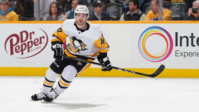 Ex-NHL player Adam Johnson, 29, dead after suffering horrific neck injury in 'freak accident' during game