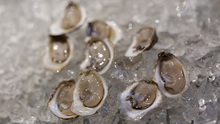 FILE - Oysters are pictured on Oct. 14, 2023, in New York City. (Photo by Jemal Countess/Getty Images for NYCWFF)