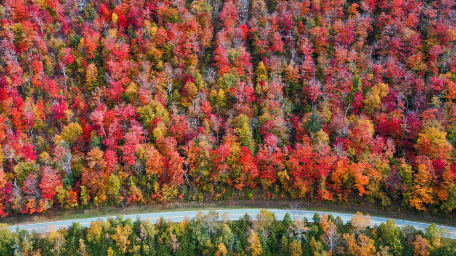 FILE - Aerial view of colorful fall foliage is seen in Newark, Vermont, on Oct. 12, 2021. (Photo by Tayfun Coskun/Anadolu Agency via Getty Images)