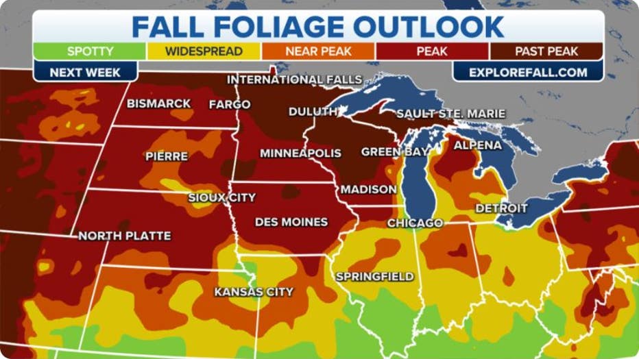 Midwest current fall foliage map. (Explorefall.com/FOX Weather)
