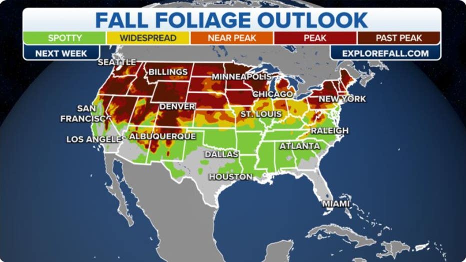 Current fall foliage map (Explorefall.com/FOX Weather)