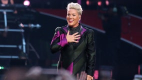 Pink to give away 2,000 banned books at Miami area concerts