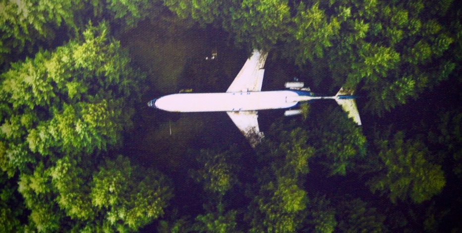 Plane good in a Forest