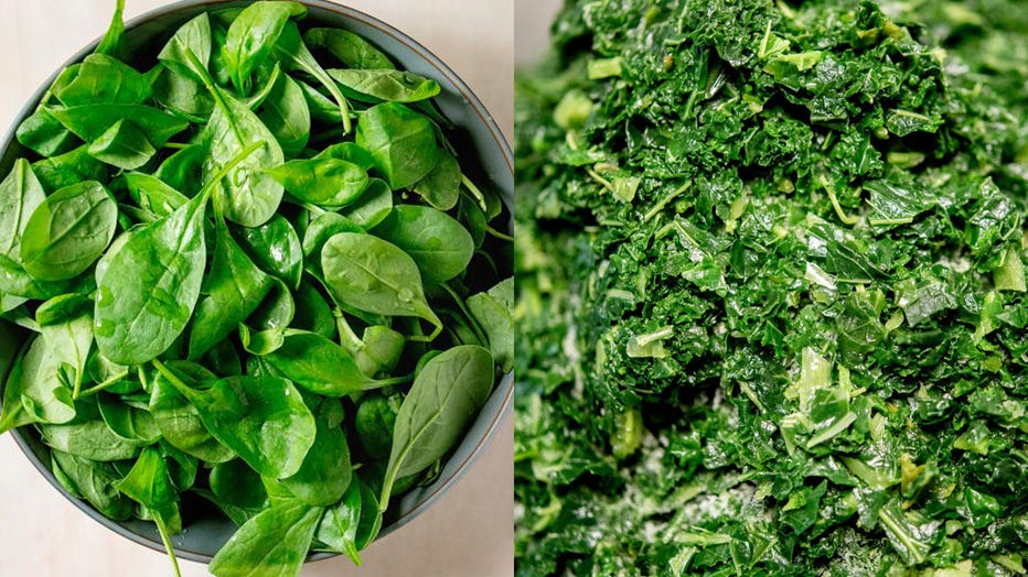 Spinach and kale are pictured in file images (Credit: Hauke-Christian Dittrich/picture alliance and Natasha Breen/REDA&CO/Universal Images Group via Getty Images)