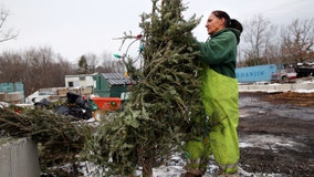 Here’s how you can recycle your Christmas trees after the holidays