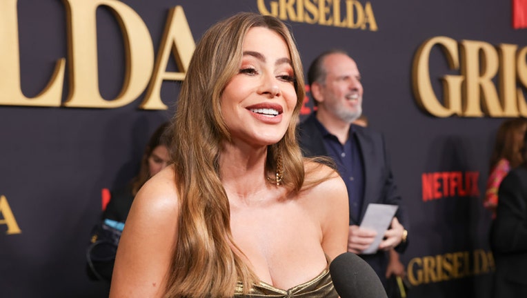 Sofia Vergara says acting jobs are somewhat limited because of her 'stupid  accent