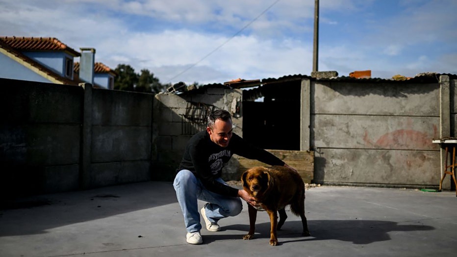 Leonel Costa, 38 years old, owner of Bobi, a Portuguese dog that was declared the world's oldest by Guinness World Records, caresses his pet at their home in the village of Conqueiros near Leiria. (Photo by PATRICIA DE MELO MOREIRA/AFP via Getty Images)