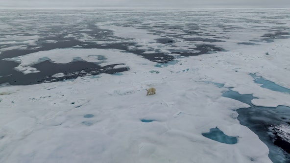 How scientists believe the loss of Arctic sea ice will impact US weather patterns