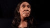 Researchers reconstructed the face of a Neanderthal woman from 75,000 years ago