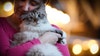 Cat owners could be at higher risk of schizophrenia, study suggests