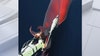 ‘We were very lucky’: Rare deep-sea squid caught on camera lunging at lens
